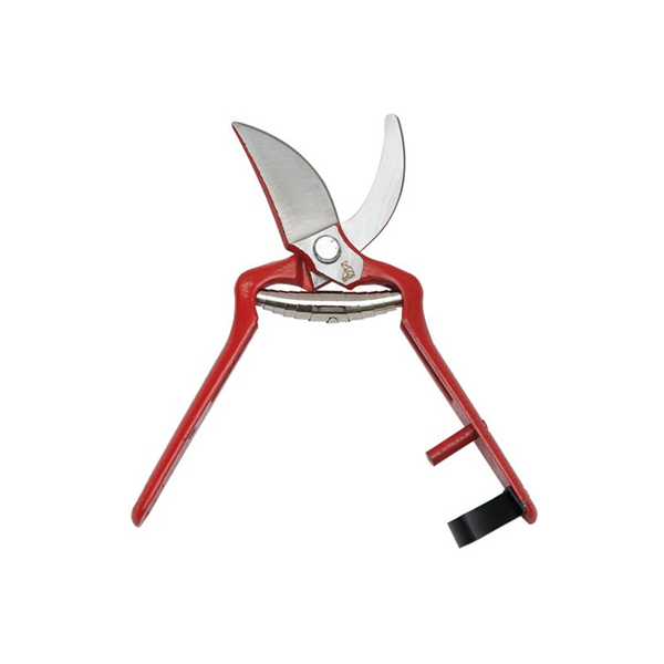 TIJERA PODAR 23CM LA PAJARITA