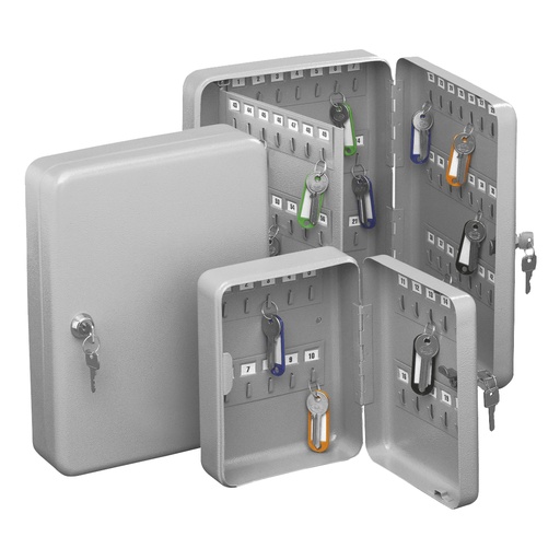 [3818] ARMARIO 45 LLAVES GRIS 300X240X70 MOD.2171 AMIG